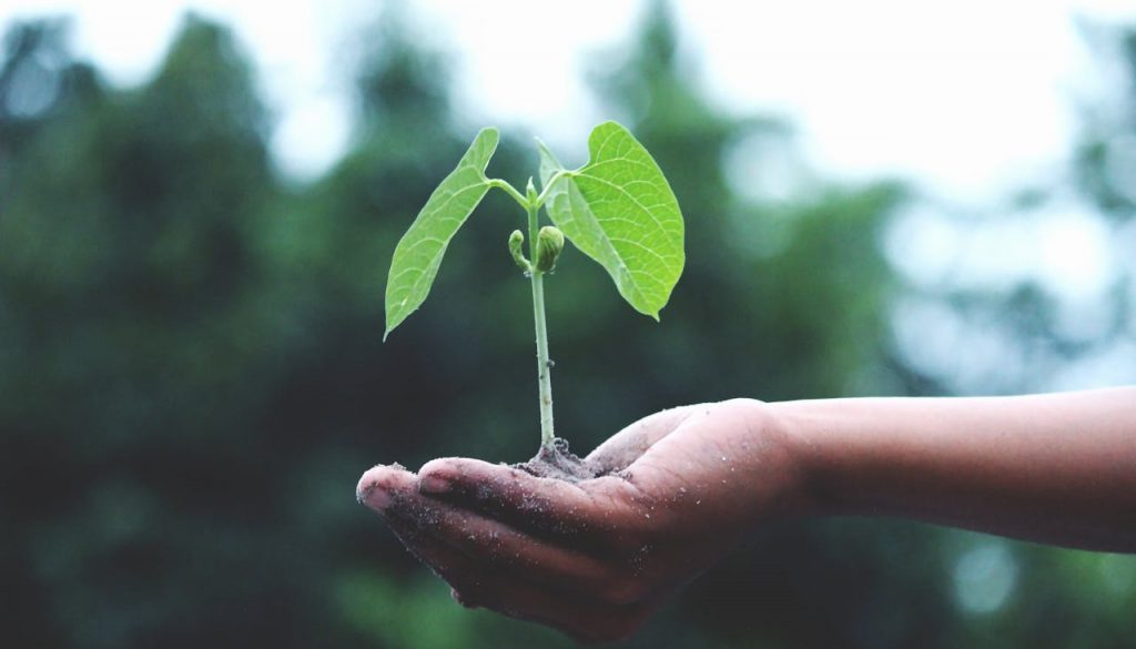 Graphic representing sustainable business practices and ISO 14001 environmental management.