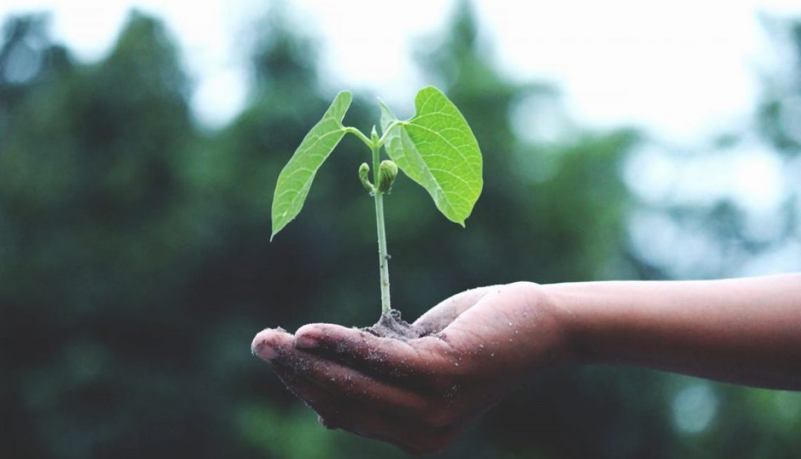 Graphic representing sustainable business practices and ISO 14001 environmental management.