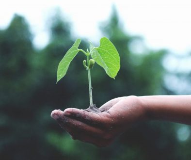 Graphic representing sustainable business practices and ISO 14001 environmental management.