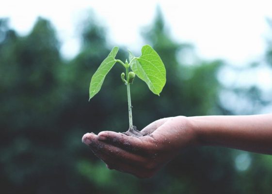 Graphic representing sustainable business practices and ISO 14001 environmental management.