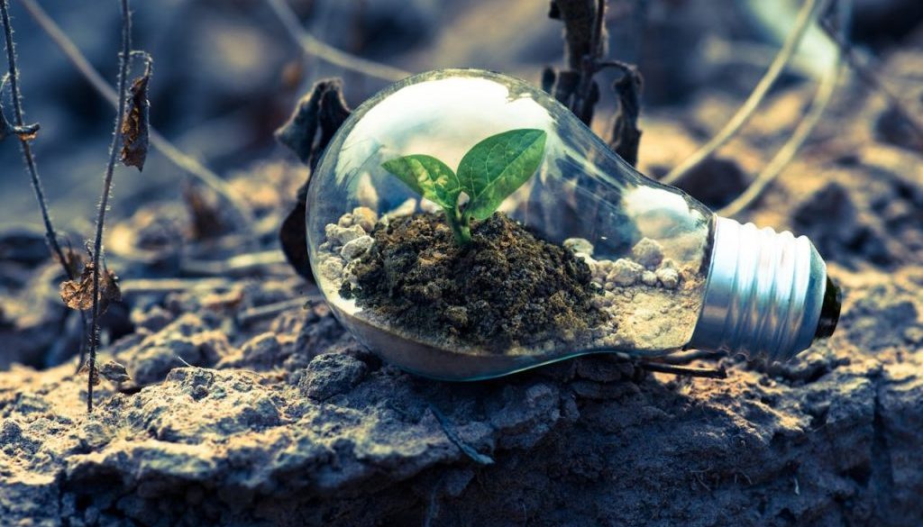 Carbon Neutrality