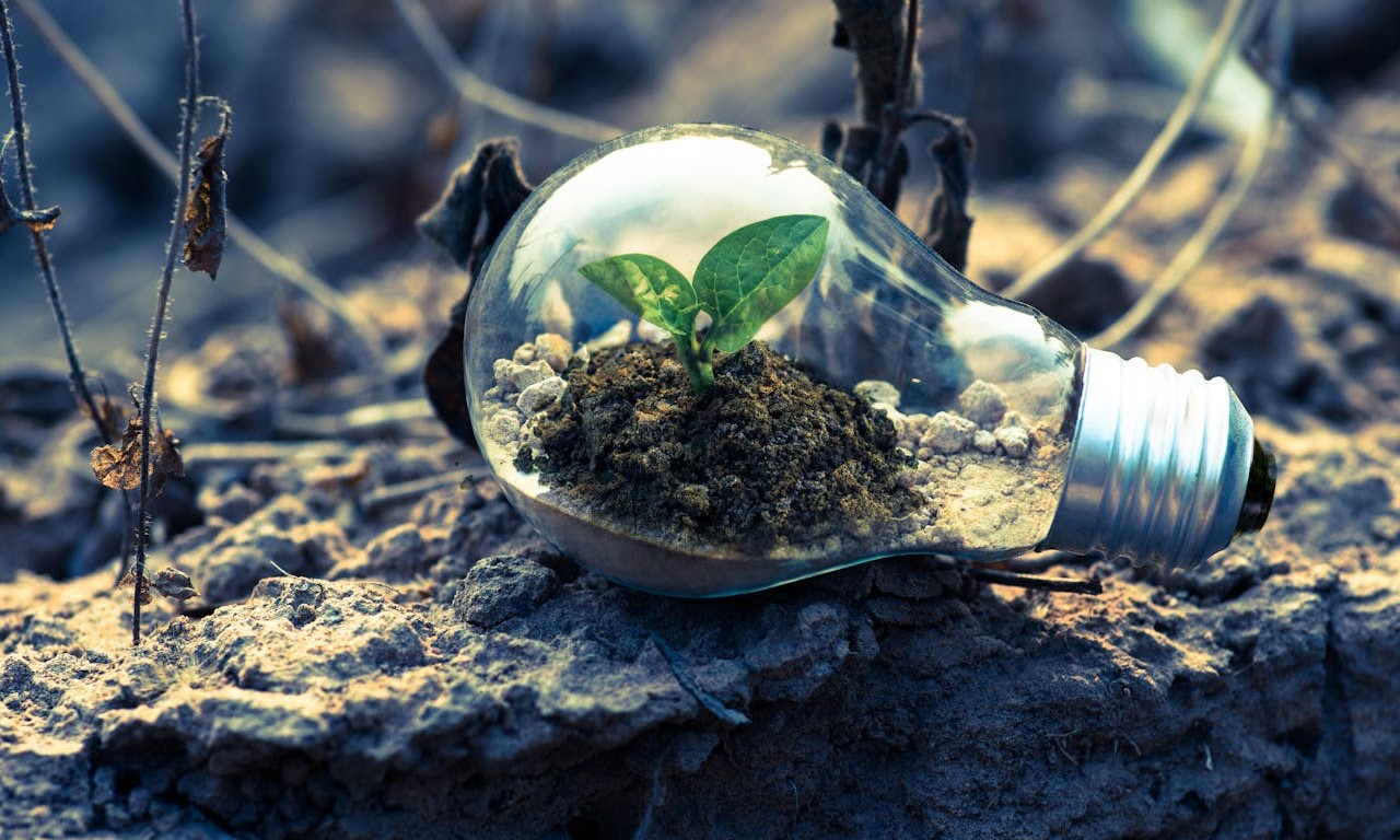 Carbon Neutrality